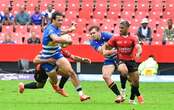 Stormers rookie Roche called to Bok camp as Rassie casts the net wider