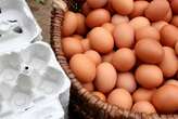 Retailers not cutting food prices fast enough - especially eggs, competition watchdog warns