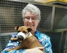 Oudtshoorn: Meer as 100 honde soek huise omdat organisasie deure sluit