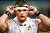 Cheetahs gaan Gideon op bure loslaat