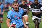 Springboks call up Hanekom for injured Willemse