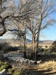 AgriSA waarsku oor risiko’s vir landbou weens nuwe mynbou-wetsontwerp