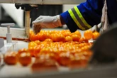27% meer vrugte al reeds uitgevoer om nuwe tariewe te vermy