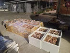 2 in polisie se vangnet oor 800 kg kreefsterte