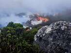 119 fires recorded in Table Mountain National Park in just 12 months