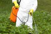 UN expert urges tougher action on pesticides in SA