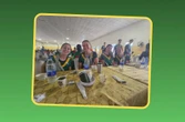 G’n toiletpapier, te min kos: ASA spring in om jong atlete in Nigerië te help