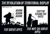 CARTOON BY CARLOS | The devolution of territorial display