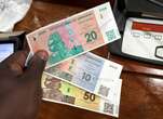 Zimbabwe’s gold-backed currency loses half its value: Why and what’s next?