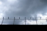 Smuggling dog detained at Panama prison
