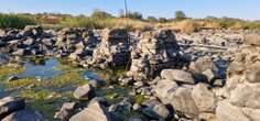 Police destroy illegally built bridge across Limpopo River allegedly used for cross-border crimes