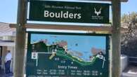 Boulders Beach, Newlands Forest reach maximum capacity on Christmas Day