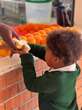 Ons kinders ly honger, veral in Noordwes, KZN en Mpumalanga – studie