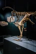 Dinosourusse in die Vrystaat: Nuwe sentrum vertel dié geskiedenis