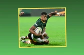 Louis de Villiers: Dalk het die Bokke se bioritmes net uitgebom?