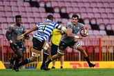 Pumas backrower joins Stormers for Rainbow Cup