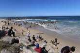 New Brighton-strand in Gqeberha wéér gesluit weens E. coli-vlakke