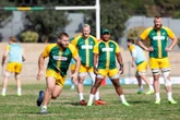 Bokke se groentjie-voorry en Wiese onder vergrootglas in Laeveld