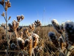 Vrystaat, Noord-Kaap nie so ysig soos verlede week, ondanks kouefronte