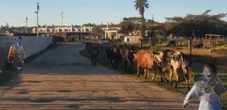 DBV in Mosselbaai se aansoek om hulp afgekeur, raad wil verkrygingsproses volg