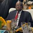 Zuma, Malema se LP’s draai stokkies