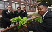 Baaise skool wys hoe: Groentetuin gefinansier met afvalpapier
