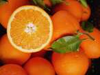 WTO appoints panels to deal with dispute over SA citrus exports