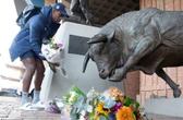 Jake White: Nuus oor Hendricks het Bulle geplettervat, maar . . .