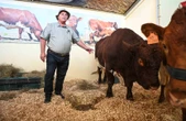 ‘Ons bly net hier en sal veg vir die land,’ sê SA boere op Nampo