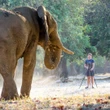 Diens gehou vir mede-eienaar van reservaat ná olifant hom doodtrap