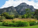 Kirstenbosch een van die wêreld se bestes, meen New York Times