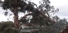 Stormsterk wind waai huise se dakke in Tuinroete af, ruk bome om