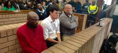 Limpopo pig farm murders: Owner implicated himself, 2 co-accused - court told