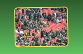 Leë sitplekke op Ellispark net nóg ’n teer punt op Bokke se swart Saterdag
