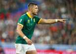 Pollard loof Kiwi se insette by Bokke