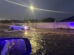 Paaie, eiendom oorstroom in Hermanus, Kapenaars staal hulself