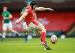Rooi Drake betrek Halfpenny vir toetse teen Japan