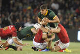 Rob Houwing's Bok ratings: Durable Dixon demonstrates his X-factor