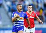 Dobson se Stormers snoer kritici se monde met sege oor hul Nemesis