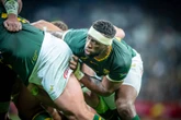 Kolisi dra eerste keer Bokke se nr. 8-trui