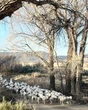 Effens warmer weer volgende week in Vrystaat en Noord-Kaap verwag