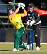 Paaltjies wat aanhou kantel, pootjie Proteas
