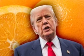 Trump se D-dag nader: Sitruskwekers angstig, DA bekommerd
