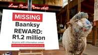 Private investigators following 'substantial leads' in disappearance of Baanksy, the painting sheep