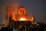 Holy load: 200 year old trees chopped down to be part of repairing France's Notre Dame