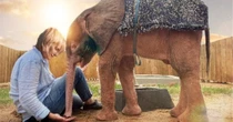 Bekroonde dokumentêr oor Khanyisa, die albino-olifantkalfie binnekort beskikbaar