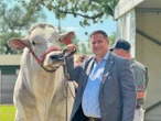 Landelike veiligheid, toestand van hawens en paaie gee hom grys hare, sê Steenhuisen