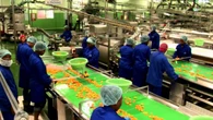 Verkoop van Ashton-vrugtefabriek, Legit kry groen lig