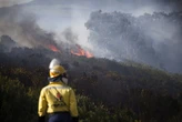 SANParks suspects arson in massive Cape Town wildfire, R10 000 reward offered