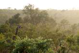 Uitspraak oor waarde van Leopard Creek kom later